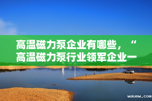 高温磁力泵企业有哪些，“高温磁力泵行业领军企业一览”