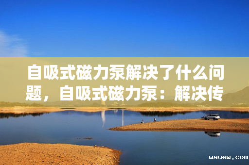 自吸式磁力泵解决了什么问题，自吸式磁力泵：解决传统泵类泄漏与密封难题的创新之选