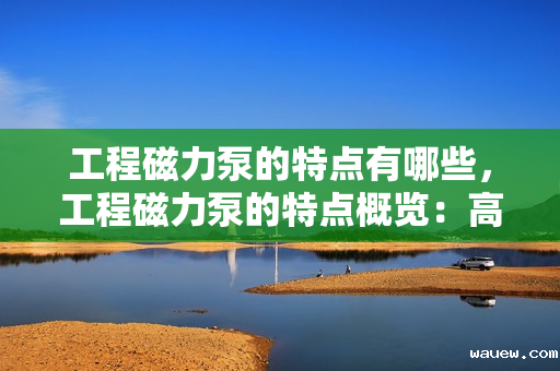 工程磁力泵的特点有哪些，工程磁力泵的特点概览：高效、无泄漏与长寿命的完美结合