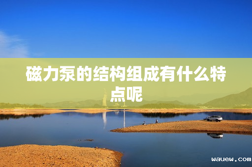 磁力泵的结构组成有什么特点呢