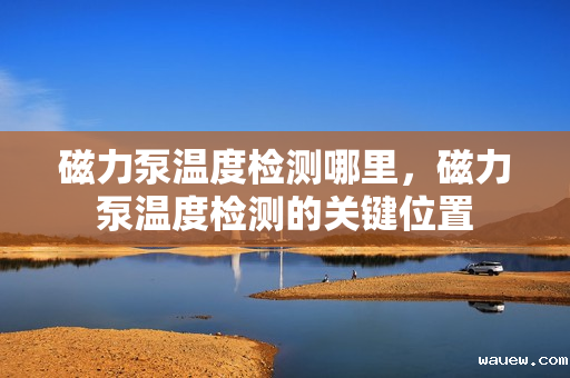 磁力泵温度检测哪里，磁力泵温度检测的关键位置