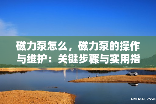 磁力泵怎么，磁力泵的操作与维护：关键步骤与实用指南