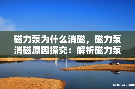 磁力泵为什么消磁，磁力泵消磁原因探究：解析磁力泵失去磁性的关键因素