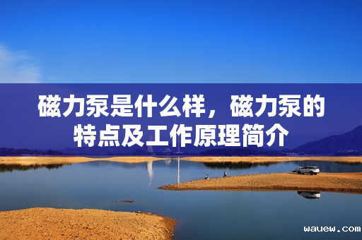 磁力泵是什么样，磁力泵的特点及工作原理简介