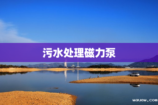 污水处理磁力泵