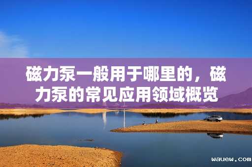 磁力泵一般用于哪里的，磁力泵的常见应用领域概览