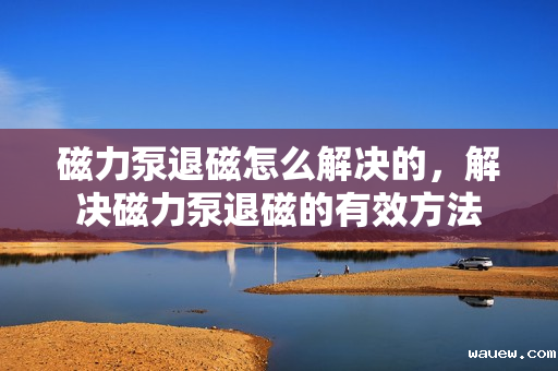 磁力泵退磁怎么解决的，解决磁力泵退磁的有效方法