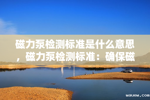 磁力泵检测标准是什么意思，磁力泵检测标准：确保磁力泵性能与质量的关键指标