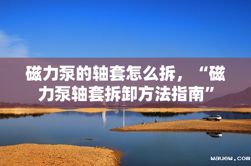 磁力泵的轴套怎么拆，“磁力泵轴套拆卸方法指南”