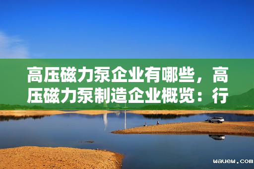 高压磁力泵企业有哪些，高压磁力泵制造企业概览：行业领军企业一览
