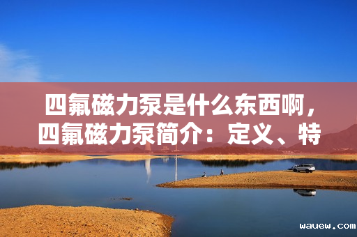 四氟磁力泵是什么东西啊，四氟磁力泵简介：定义、特点及应用领域解析