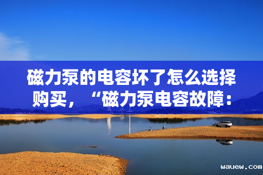 磁力泵的电容坏了怎么选择购买，“磁力泵电容故障：选购新电容的关键指南”