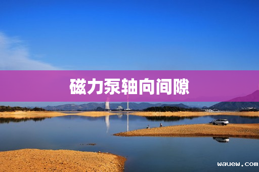 磁力泵轴向间隙