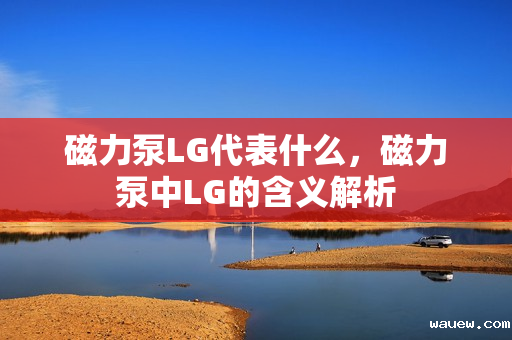 磁力泵LG代表什么，磁力泵中LG的含义解析