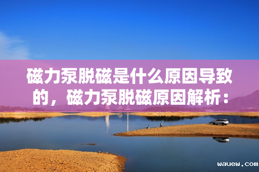 磁力泵脱磁是什么原因导致的，磁力泵脱磁原因解析：故障背后的关键因素探讨