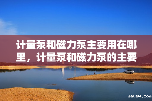 计量泵和磁力泵主要用在哪里，计量泵和磁力泵的主要应用领域探讨