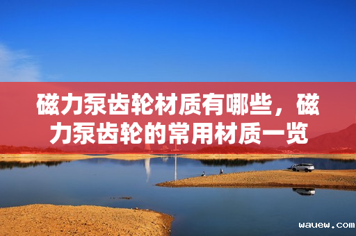 磁力泵齿轮材质有哪些，磁力泵齿轮的常用材质一览