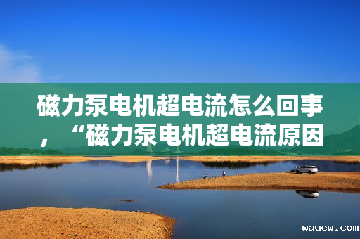 磁力泵电机超电流怎么回事，“磁力泵电机超电流原因及解决方法”