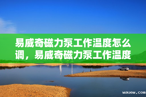 易威奇磁力泵工作温度怎么调，易威奇磁力泵工作温度调整方法