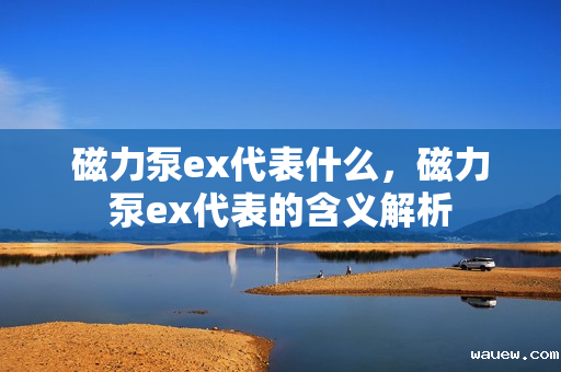 磁力泵ex代表什么，磁力泵ex代表的含义解析