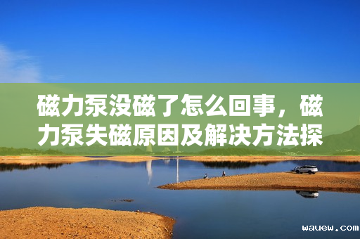 磁力泵没磁了怎么回事，磁力泵失磁原因及解决方法探讨