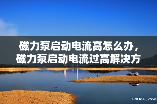磁力泵启动电流高怎么办，磁力泵启动电流过高解决方法探讨