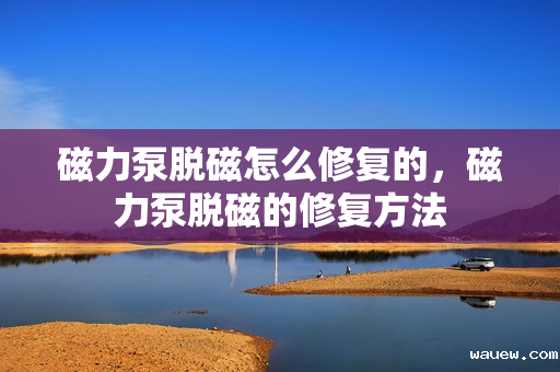 磁力泵脱磁怎么修复的，磁力泵脱磁的修复方法