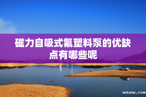 磁力自吸式氟塑料泵的优缺点有哪些呢