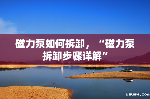 磁力泵如何拆卸，“磁力泵拆卸步骤详解”