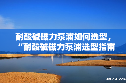 耐酸碱磁力泵浦如何选型，“耐酸碱磁力泵浦选型指南：关键步骤与要点解析”