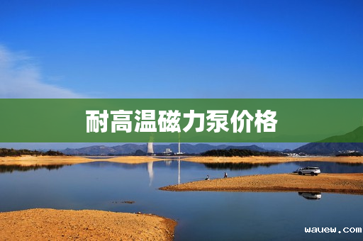 耐高温磁力泵价格