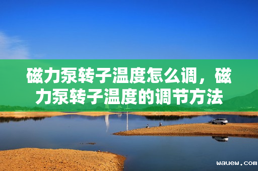 磁力泵转子温度怎么调，磁力泵转子温度的调节方法