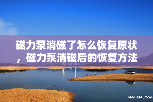 磁力泵消磁了怎么恢复原状，磁力泵消磁后的恢复方法探讨