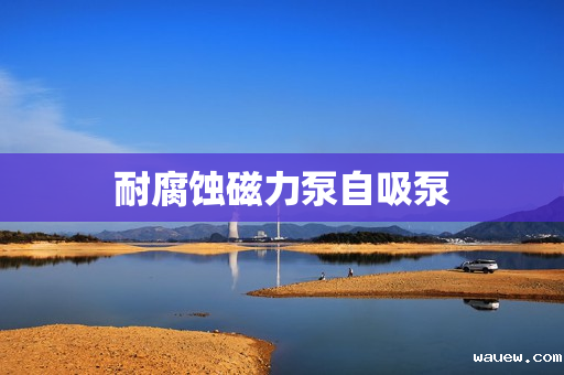 耐腐蚀磁力泵自吸泵