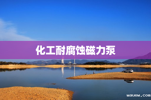 化工耐腐蚀磁力泵