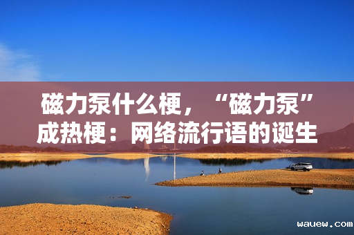 磁力泵什么梗，“磁力泵”成热梗：网络流行语的诞生与解读