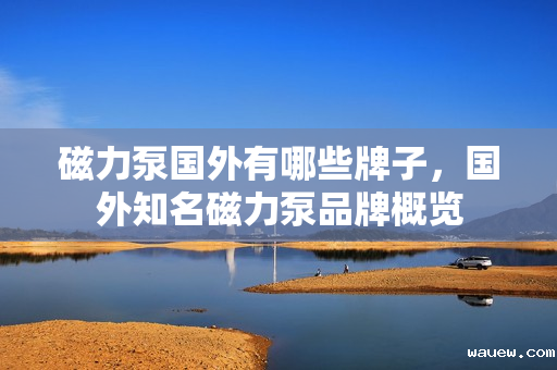 磁力泵国外有哪些牌子，国外知名磁力泵品牌概览