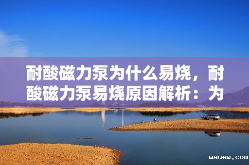 耐酸磁力泵为什么易烧，耐酸磁力泵易烧原因解析：为何故障频发？