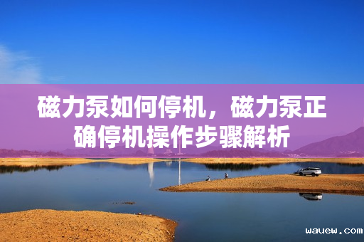 磁力泵如何停机，磁力泵正确停机操作步骤解析