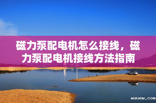 磁力泵配电机怎么接线，磁力泵配电机接线方法指南