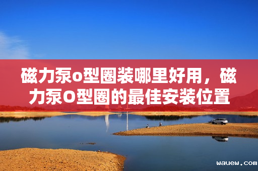 磁力泵o型圈装哪里好用，磁力泵O型圈的最佳安装位置及应用优势解析