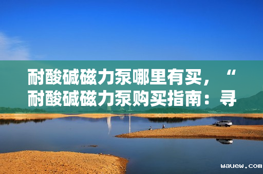 耐酸碱磁力泵哪里有买，“耐酸碱磁力泵购买指南：寻找可靠供应商的关键步骤”