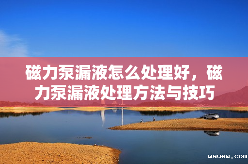 磁力泵漏液怎么处理好，磁力泵漏液处理方法与技巧