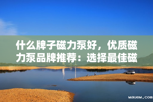 什么牌子磁力泵好，优质磁力泵品牌推荐：选择最佳磁力泵的关键指南