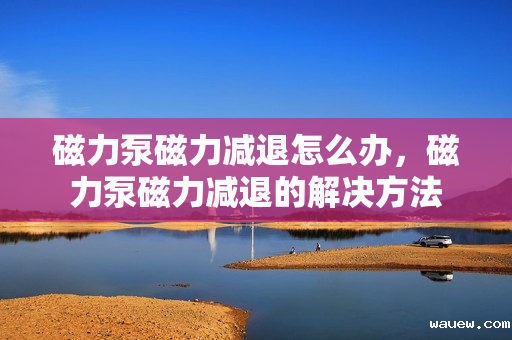 磁力泵磁力减退怎么办，磁力泵磁力减退的解决方法