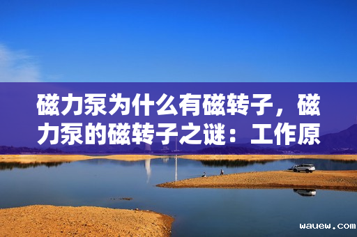 磁力泵为什么有磁转子，磁力泵的磁转子之谜：工作原理与核心构造解析