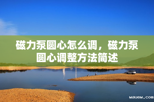 磁力泵圆心怎么调，磁力泵圆心调整方法简述