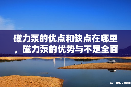 磁力泵的优点和缺点在哪里，磁力泵的优势与不足全面解析