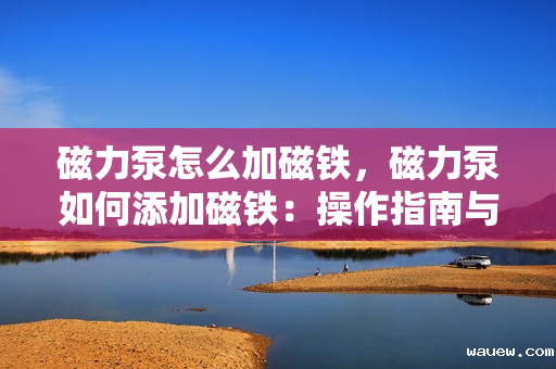 磁力泵怎么加磁铁，磁力泵如何添加磁铁：操作指南与步骤解析