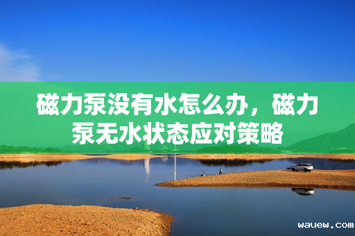 磁力泵没有水怎么办，磁力泵无水状态应对策略